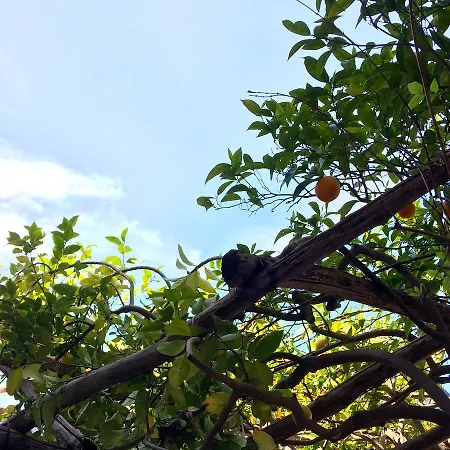 Donna Giulia 4* Amalfi