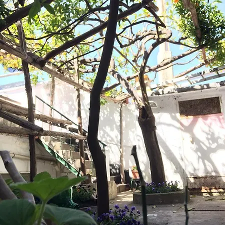 도나 줄리아 아말피